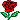 rose2