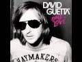 David guetta ft Rihanna -  Whos That Chick